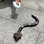 Upgrade Remote Control Snake Toy Electric Sensor RC Cobra Realistic Fast Flexible Moving Fake Joke Scary Trick Prank for Pets Cats Dogs Kids Boys Birthday Gifts