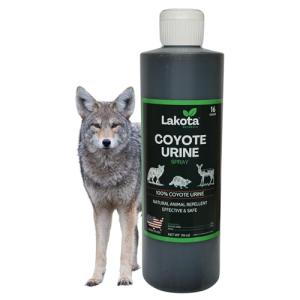 100% Pure Coyote Urine All Natural Animal & Rodent Repellent - Makes It Seem Like a Coyote is Nearby! Skunk and Racoon Repellent for Yard. Squirrel Repellent