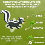 36 Pack Skunk & Raccoon Repellent Outdoor, Natural Peppermint Rodent Repellent Ball Humane Keep Skunk, Squirrel, Mouse, Raccoon Away from Yard Garden Lawn, Powerful Skunk Deterrent Outdoor