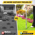 Gopher & Mole Bait Applicator, Stainless Steel Gopher/Mole/Vole Killer, Durable and Removable Gardening Pest Control Tool for Yard, Upgraded Non-Clogging Bait Outlet(Not Include Bait)