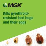 MGK Bedlam Plus® | Fast-Acting Bed Bug Spray Aerosol | Insecticide Spray | for Indoor Use on Mattresses, Wood Furniture and Carpets | 17 Ounce Can