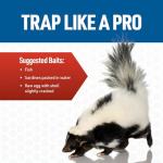 JT Eaton Skunk & Medium Pest Live Trap with Dark Interior, Easy Capture Trigger, Easy Release Door