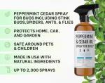 Kate's Home & Garden Peppermint Oil Spray for Bugs, Ants, Insects, Spiders. Pesticide and Insecticide Indoor Repellent Pest Control with Cedarwood Oil (16oz, Natural, Pet Safe, Non Toxic)