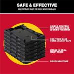 Catchmaster Mouse & Insect Glue Traps 16-Pk, Adhesive Rodent & Bug Catcher, Mouse Traps Indoor for Home, Sticky Glue Boards for Mice and Insects, Pet Safe Pest Control for House & Garage