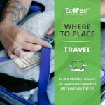 Bed Bug Detector – 6 Pack | Early Detection Bed Bug Trap, Monitor, and Detector for Home and Travel | Indoor Pest Control Traps for Bed Bugs