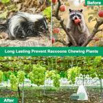 36 Pack Peppermint Skunk Repellent, Natural Raccoon Repellent Keep Skunks Out from Outdoor Yard Attic Garden House, Long-Lasting Protection, Safe for Dogs and Children