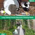 36 Pack Peppermint Skunk Repellent, Natural Raccoon Repellent Keep Skunks Out from Outdoor Yard Attic Garden House, Long-Lasting Protection, Safe for Dogs and Children