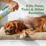 BugMD Flea and Tick Prevention Kit for Dogs and Cats - Deluxe Bundle with Plant-Powered Repellent Pendant AirTag Holder + Natural Essential Oil Spray Concentrate 2-Pack - Pet Flea Tick Control