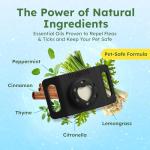 BugMD Flea and Tick Prevention Kit for Dogs and Cats - Deluxe Bundle with Plant-Powered Repellent Pendant AirTag Holder + Natural Essential Oil Spray Concentrate 2-Pack - Pet Flea Tick Control