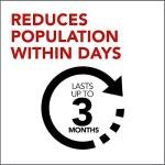 Raid Max Double Control Ant Baits, Household Use Defense System to Control Bugs, Dual Bait Technology, 8 CT Double Control Ant Baits/Box (Pack of 3 Boxes)