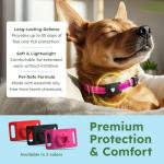 BugMD Flea and Tick Prevention Kit for Dogs and Cats - Deluxe Bundle with Plant-Powered Repellent Pendant AirTag Holder + Natural Essential Oil Spray Concentrate 2-Pack - Pet Flea Tick Control