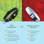 BugMD Flea and Tick Prevention Kit for Dogs and Cats - Deluxe Bundle with Plant-Powered Repellent Pendant AirTag Holder + Natural Essential Oil Spray Concentrate 2-Pack - Pet Flea Tick Control