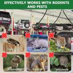 36 Pcs Skunk Repellent Outdoor, Powerful Natural Peppermint Oil Repellent, Keep Raccoon, Skunk, Raccoon, Squirrel Away, Skunk Deterrent for Yard Garden Lawn Outdoor for Family & Pet Safe