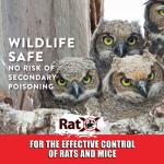RatX Throw Packs- for All Species of Rats and Mice Safe Around Pets