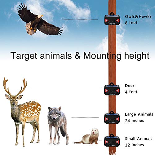 Solar Predator Control Light for Coyote Deterrent - 2 Pack