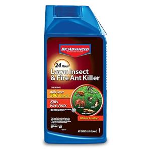 BioAdvanced 24 Hour Lawn Insect & Fire Ant Killer, Concentrate, 32 oz, Outdoor Ant Killer