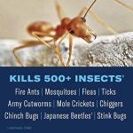 BioAdvanced 24 Hour Lawn Insect & Fire Ant Killer, Concentrate, 32 oz, Outdoor Ant Killer