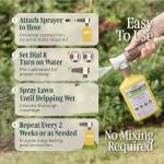 Organic Insecticide for Grass, Trees & Shrubs – 16oz Hose-End Ready-to-Spray – Lawn Insect Killer for Grubs, Armyworms, Beetles – Systemic Outdoor Bug Spray – Pet Safe Yard Pest Control Treatment