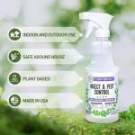 VermExon Peppermint Oil Insect & Pest Control Spray – 16oz Natural Plant-Based Bug Killer for Spiders, Ants, Flies, and Other Insects, Safe for Home & Kitchen Use
