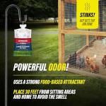 Catchmaster Pro Series Disposable Fly Bag 8-Pack, Hanging Fly Trap Outdoor Home, Bug Catcher and Flying Insect Trap with Premium Bait, Pet Safe Pest Control, XL Bag for Backyard, Pool, Patio & Camping