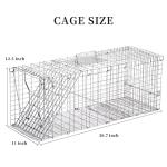 Meibangzz Animal Traps,Live Animal Trap for Cats,Rabbits, Squirrels,cat Trap for Stray Cats, Live Traps for Raccoons, Stainless Steel Foldable with Pedal Triggers (32 x 11 x 12.6 inches)
