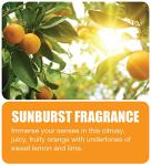 Big D 345 Odor Control Fogger, Sunburst Fragrance, 5 oz (Pack of 12) - Kills odors from fire, flood, decomposition, skunk, cigarettes, musty smells - Ideal for use in cars, property management, hotels