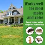 Mole Repellent, Gopher Repellent Outdoor, Vole Repellant, Mole Control, Mole Deterrent for Lawn, Groundhog Repellents, Garden Armadillo Repellant, Keep Moles and Vole Out of Your Yard-8P