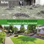 Mole Repellent, Gopher Repellent Outdoor, Vole Repellant, Mole Control, Mole Deterrent for Lawn, Groundhog Repellents, Garden Armadillo Repellant, Keep Moles and Vole Out of Your Yard-8P