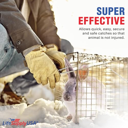 Humane Live Animal Trap for Foxes & Raccoons