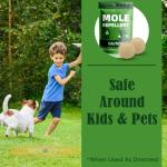 Mole Repellent, Gopher Repellent Outdoor, Vole Repellant, Mole Control, Mole Deterrent for Lawn, Groundhog Repellents, Garden Armadillo Repellant, Keep Moles and Vole Out of Your Yard-8P