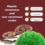 Snake Repellent for Yard & Home Areas - Outdoor/Induce Deterrent Formula, Plant-Based,Pet & Child Safe, 12 PCS Covers Up to 650 Sq.Ft