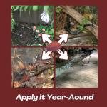 Snake Repellent for Yard & Home Areas - Outdoor/Induce Deterrent Formula, Plant-Based,Pet & Child Safe, 12 PCS Covers Up to 650 Sq.Ft