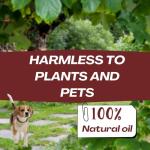 Snake Repellent for Yard & Home Areas - Outdoor/Induce Deterrent Formula, Plant-Based,Pet & Child Safe, 12 PCS Covers Up to 650 Sq.Ft