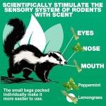 24 Pack Raccoon Repellent Ball, Natural Rodent Repellent Balls for House, Skunk & Raccoon Repellents for House, Keeping Skunk, Raccoon, Mouse, Out of Car, Garage, Attic, RV Mouse Deterrents Pet Safe