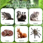 12 Pack Skunk Repellent - Natural Raccoon Repellent Balls for Yards, Gardens, Keep Raccoon Away with Humane & Odorless, Skunk Deterrent Long-Lasting Granules Safe for Pets & Kids