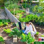 12 Pack Skunk Repellent - Natural Raccoon Repellent Balls for Yards, Gardens, Keep Raccoon Away with Humane & Odorless, Skunk Deterrent Long-Lasting Granules Safe for Pets & Kids