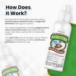 Bed Bug Patrol Natural Bed Bug Killer – 3 Pack (3oz Each) Travel Spray – Non-Toxic, TSA Safe, Child & Pet Friendly Formula for Airbnb, Luggage, Hotels, Rideshare, and Work Trips