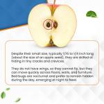 Bed Bug Patrol Natural Bed Bug Killer – 3 Pack (3oz Each) Travel Spray – Non-Toxic, TSA Safe, Child & Pet Friendly Formula for Airbnb, Luggage, Hotels, Rideshare, and Work Trips