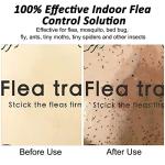Flea Traps for Inside Your Home, 2 Pack Flea Trap with Sticky Pads Refills & Light Bulb Replacement, Odorless Natural Indoor Bed Bug Light Killer Insect Infestation Treatment Trap for Kids Pet