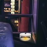 Flea Traps for Inside Your Home, 2 Pack Flea Trap with Sticky Pads Refills & Light Bulb Replacement, Odorless Natural Indoor Bed Bug Light Killer Insect Infestation Treatment Trap for Kids Pet