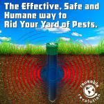 4 Pack Sonic Mole Chaser - Battery Operated Rodent Repeller Stake, Scares Away Moles, Voles, Gophers and Rats by Reusable Revolution (Green & Black)