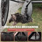 Mole Traps That Kill Best, 2 Pack Scissor Mole Trap, Sleek Black Stainless Steel Finish