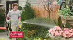 Summit...reponsible Solutions. TICK & FLEA Spray - Concentrate - Quart, Natural