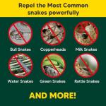 CuuFceEo Snake Repellent for Yard Powerful, Snake Repellent for Outdoors Pet Safe, Snake Away Deterrent, Snake Out, Copperhead Snake Repellant, Rattlesnake Repellant 8-Pack