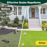 CuuFceEo Snake Repellent for Yard Powerful, Snake Repellent for Outdoors Pet Safe, Snake Away Deterrent, Snake Out, Copperhead Snake Repellant, Rattlesnake Repellant 8-Pack