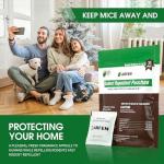 ARFEN Rodent Repellent Pouches, Peppermint Oil, All Natural, Plant Powered, Repel Mice and Rat, Squirrels, Mouse Repellent, Keep Mice Out from Indoor/Car/RV/Boat/Garage/Cabin,10 Pouches