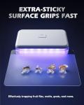 LFSYS 2 Pcs Fruit Fly Traps for Indoors (2 Device+10 Refills) Plug in UV Light Fly Trap for Gnats, Fruit Flies, Flying Insects Sleek Design Indoor Safe
