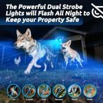 Solar Nocturnal Animal Repeller 4 Pack - Deer, Coyote, Fox, Raccoon, Skunk Cat Deterrent Device - Outdoor Coyote Repellent - Predator Blue Lights for Chicken Coop, Yard, Garden, Farm