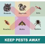 PEVAFI Pest Control Pouches, Rodent Repellent Repel Mice, Mouse, Rats, Ants, Roaches, Spiders, Moths & Other Pest, Mouse Rat Repellent Safe for Kids & Pets, Mice Repellent 8P