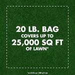 Spectracide Triazicide Insect Killer For Lawns Granules, Kills All Listed Lawn-Damaging Insects, 20 lb bag